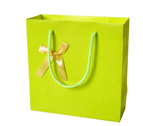 Luxury Brand Shopp Bag Paper Bag with Ribbon Handle