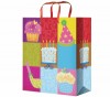 Luxury Brand Shopp Bag Paper Bag with Ribbon Handle