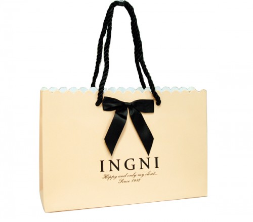 Luxury Brand Shopp Bag Paper Bag with Ribbon Handle