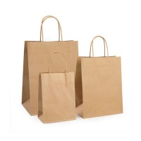 Kraft Paper Bag with Twisted Handle