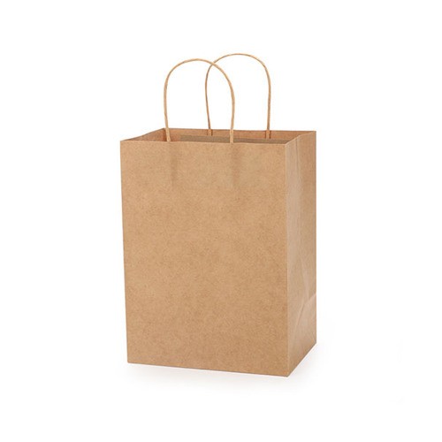 Kraft Paper Bag with Twisted Handle