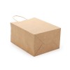 Kraft Paper Bag with Twisted Handle