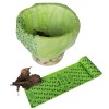 100% Biodegradable Plastic Garbage Bag Rolls