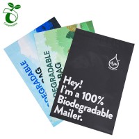 Custom Printed Biodegradable Matte Poly Mailers