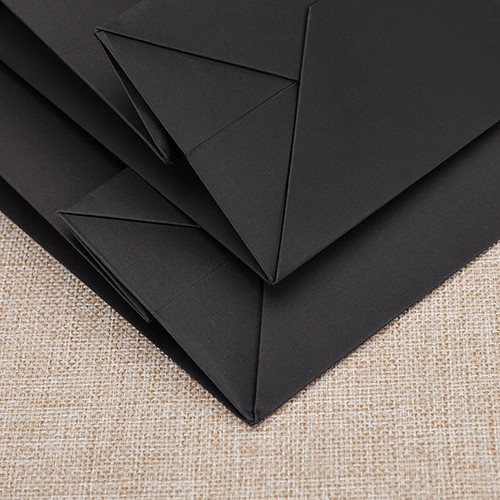 Black Cloth/Shoes Paper Bag with Handle