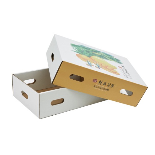 Custom Printed Packaging Corrugated Fruit Express Box