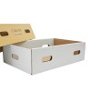 Custom Printed Packaging Corrugated Fruit Express Box