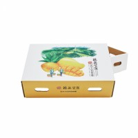 Custom Printed Packaging Corrugated Fruit Express Box