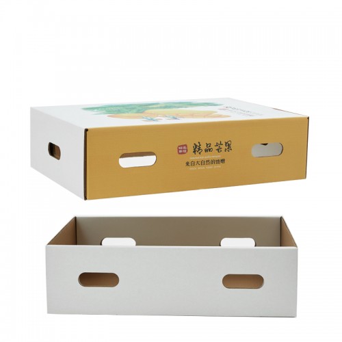 Custom Printed Packaging Corrugated Fruit Express Box