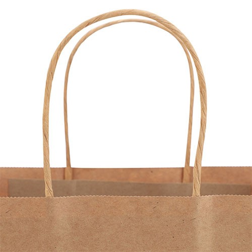 Custom LOGO Kraft Paper Bags with Twisted Handle