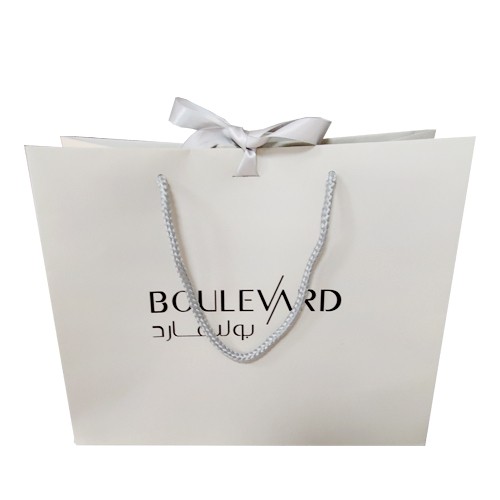 Custom Solid Color Luxury Shopping Gift Paper Bag with Handle