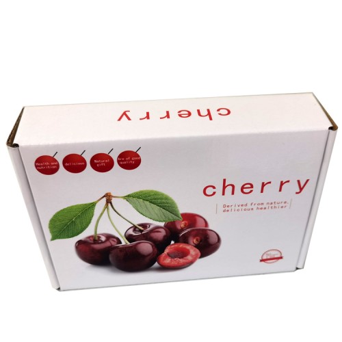 Fruit Carton Packaging Mailbox Coloured Corrugated Gift Box Carton