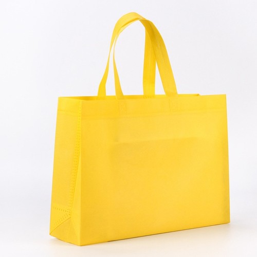 Custom Shopping Non-woven Bag with Custom Logo Printing