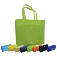 Reusable Low Price Foldable Non Woven Bag