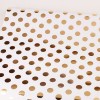 Spot Gold/Sliver Foil Wrapping Paper