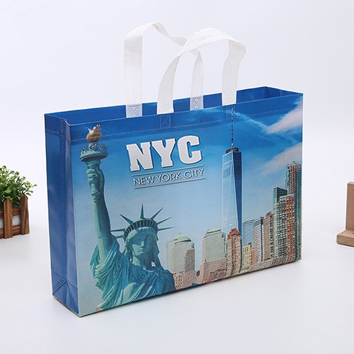 Custom PP Non-woven Shopping Bag