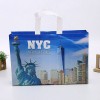 Custom PP Non-woven Shopping Bag