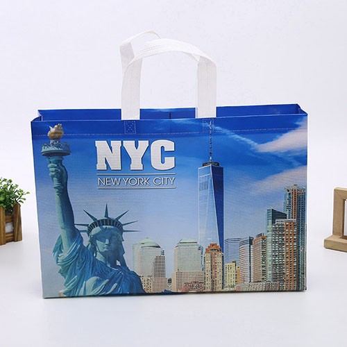 Custom PP Non-woven Shopping Bag