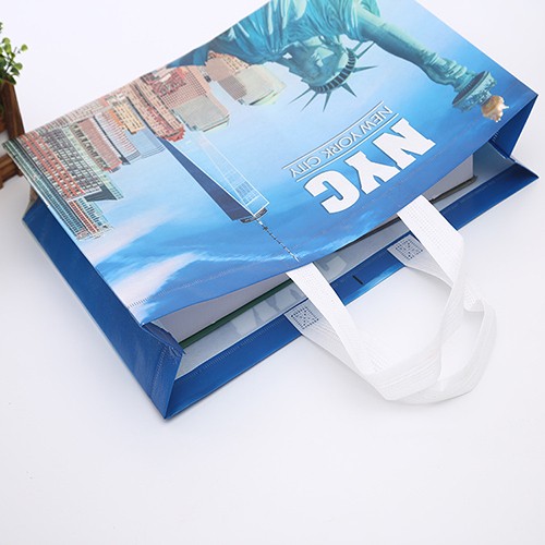 Custom PP Non-woven Shopping Bag