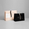 Boutique Bag Solid Color Printing Paper Bag