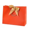 Boutique Gift Paper Bag with Bowknot